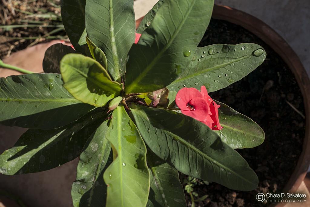 Francesco Bed & Breakfast Marina di Ragusa